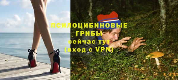 соль курить ск Михайлов